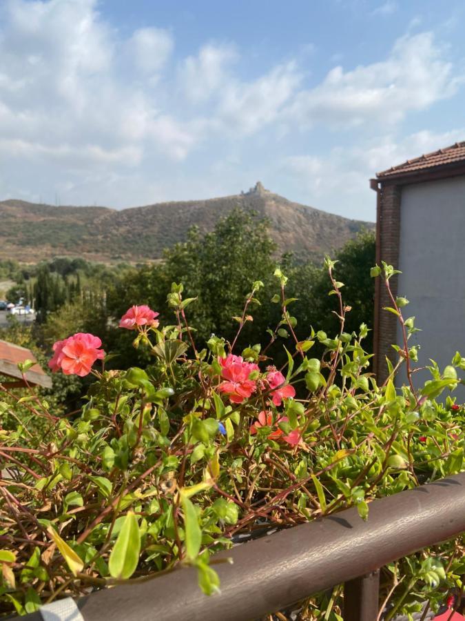 Tatin - Hotel & Cafe In Mtsʼkhetʼa Exterior foto